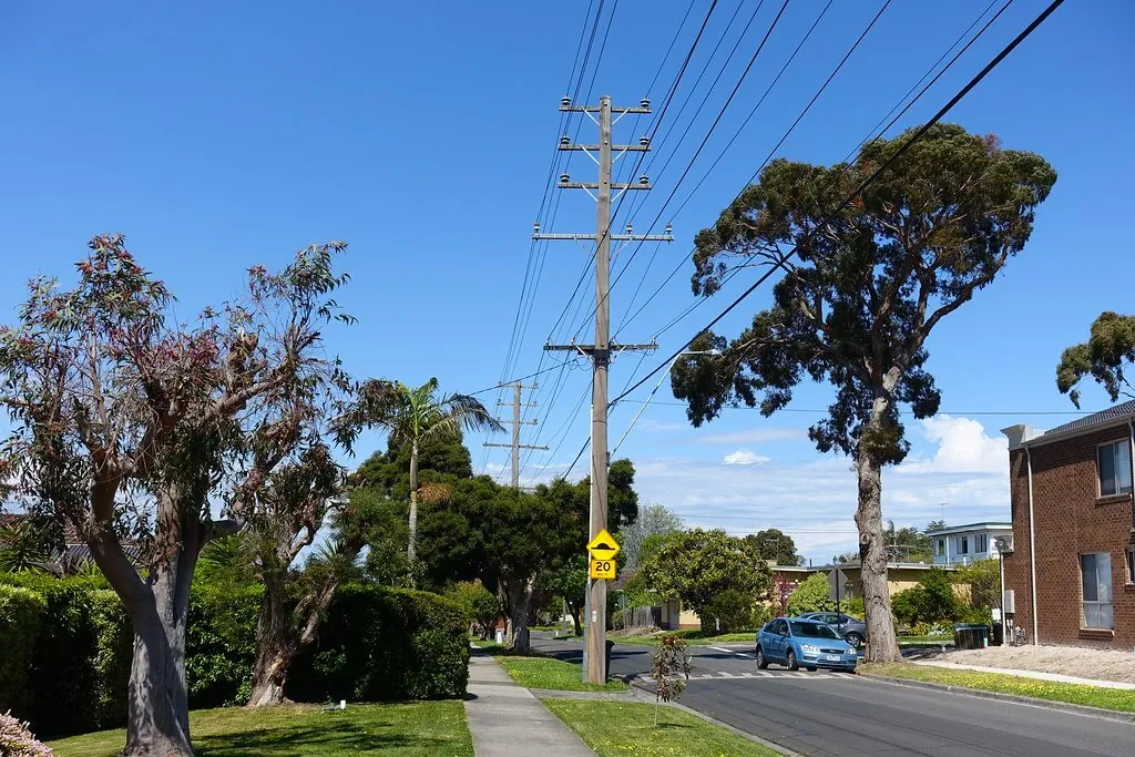 About Ashwood