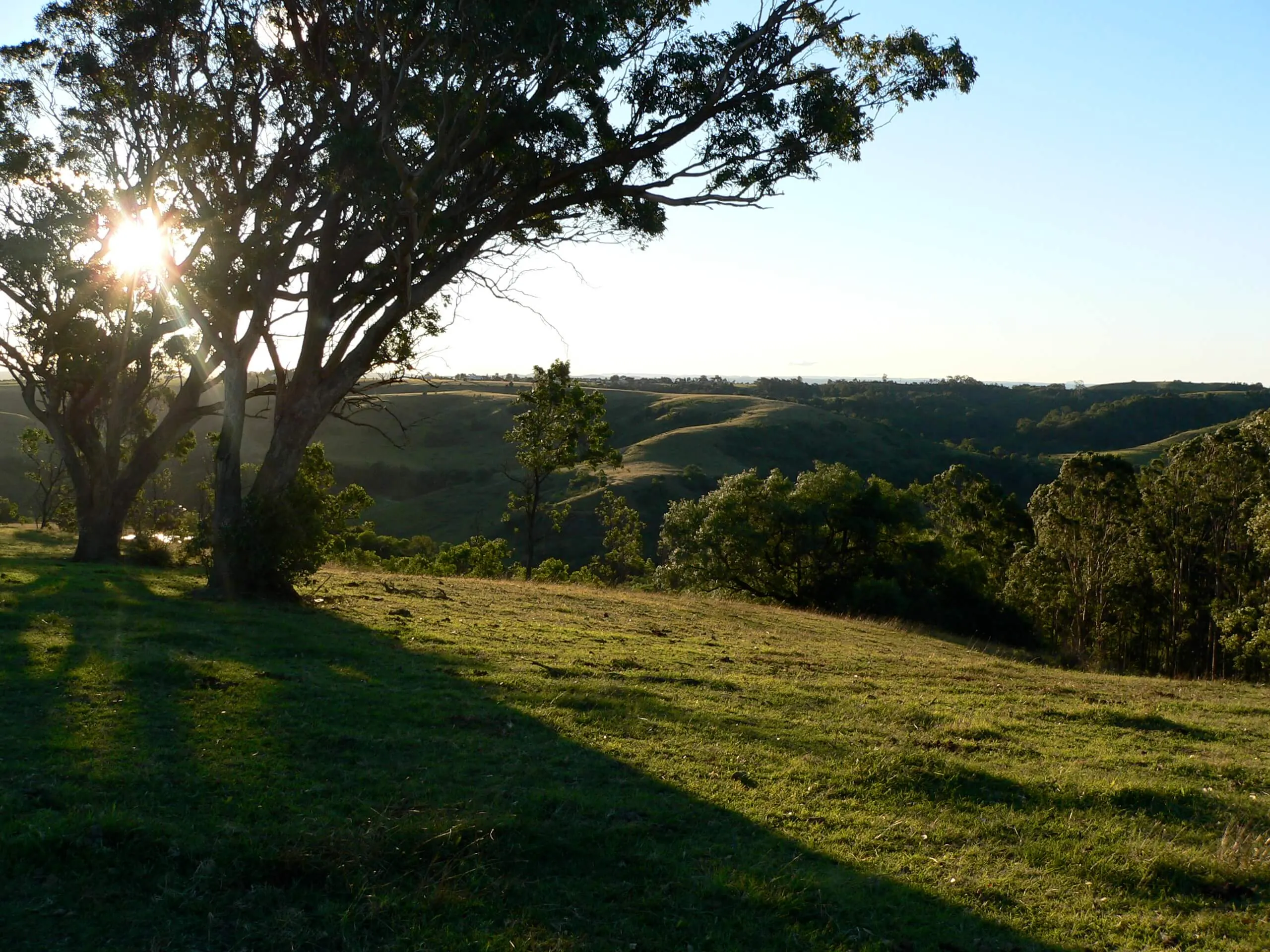 About Macarthur, NSW