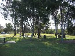 About Yeronga
