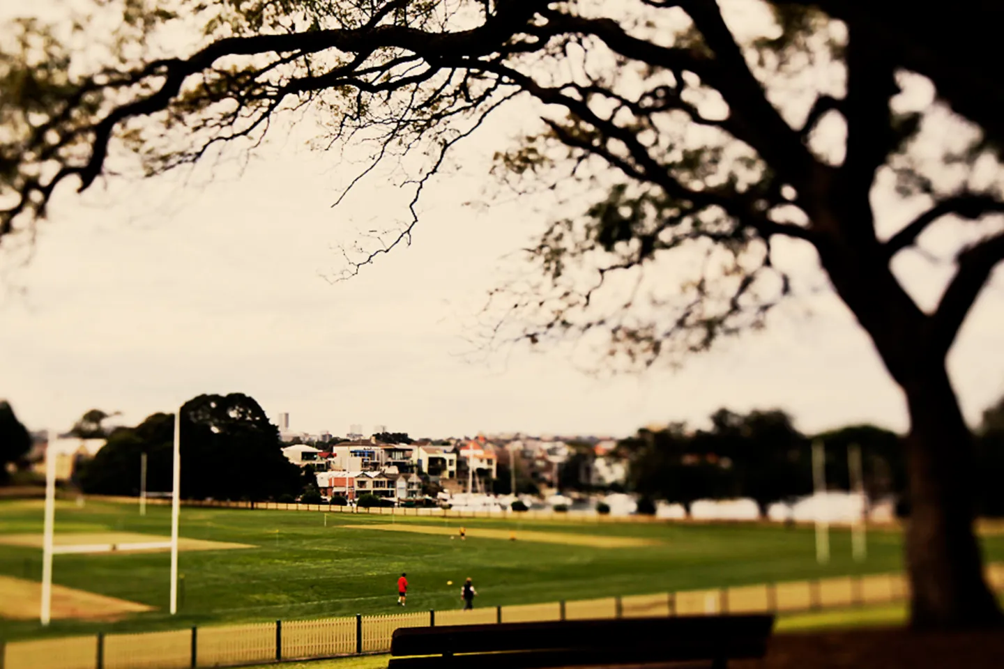 Harbour view from Birchgrove with Cockatoo Island in the foreground