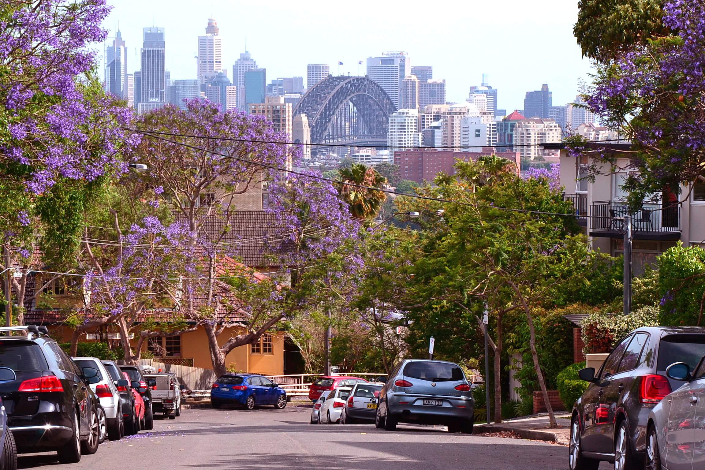 About Neutral Bay
