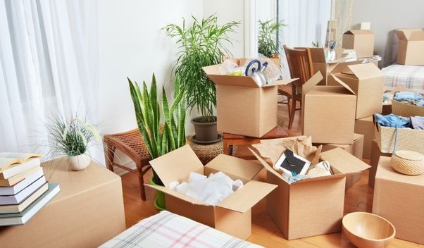 How to Plan Your Relocation When There Are Plants Involved