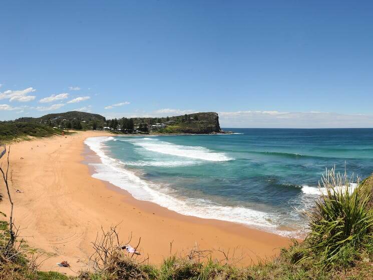 The Bondi Beach Removals Process