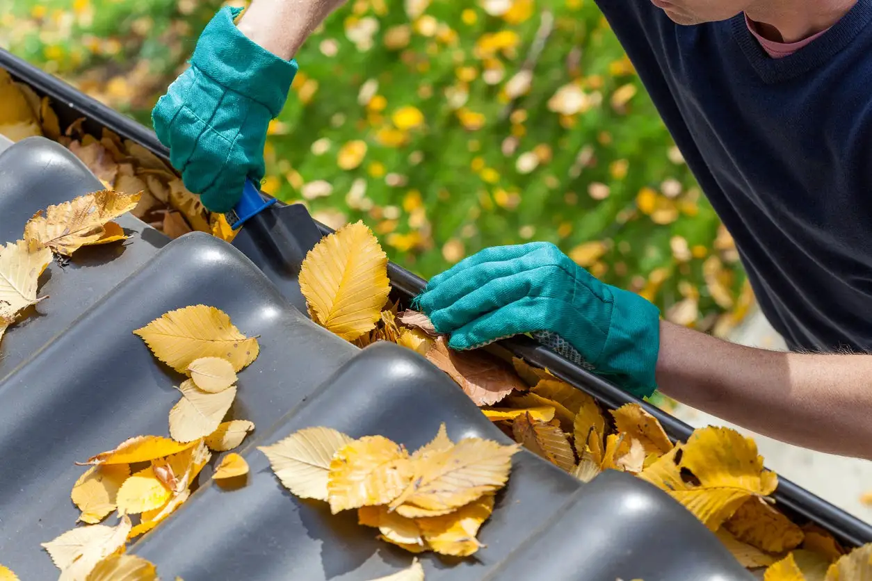 Clean Gutters and Drains